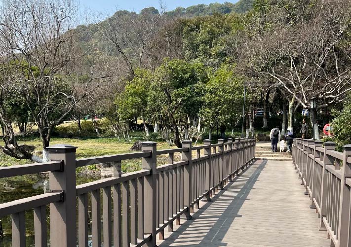 multicolor wood plastic composite deck